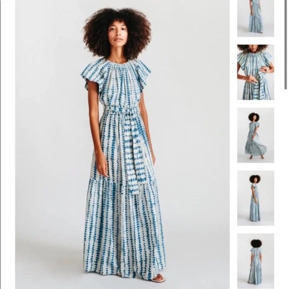Tuckernuck Dresses & Skirts - Tuckernuck Mirth Vienna Maxi Dress Indigo Stripe Blue White S
